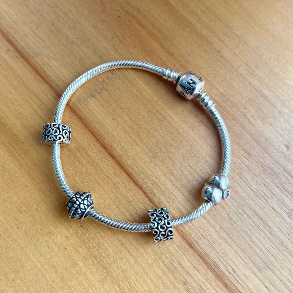 Pandora Snake Chain Bracelet + 4 charms